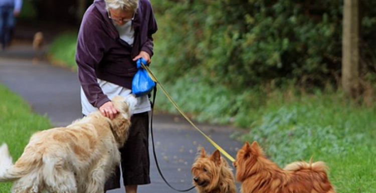 woman with dogs