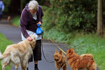 woman with dogs