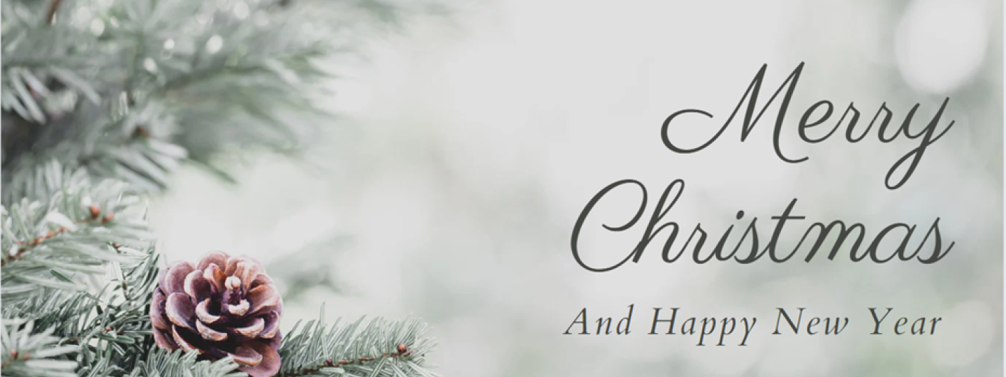 We wish you a Merry Christmas