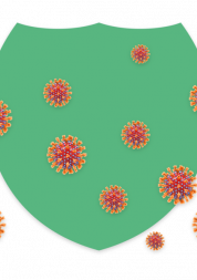 Covid virus shield